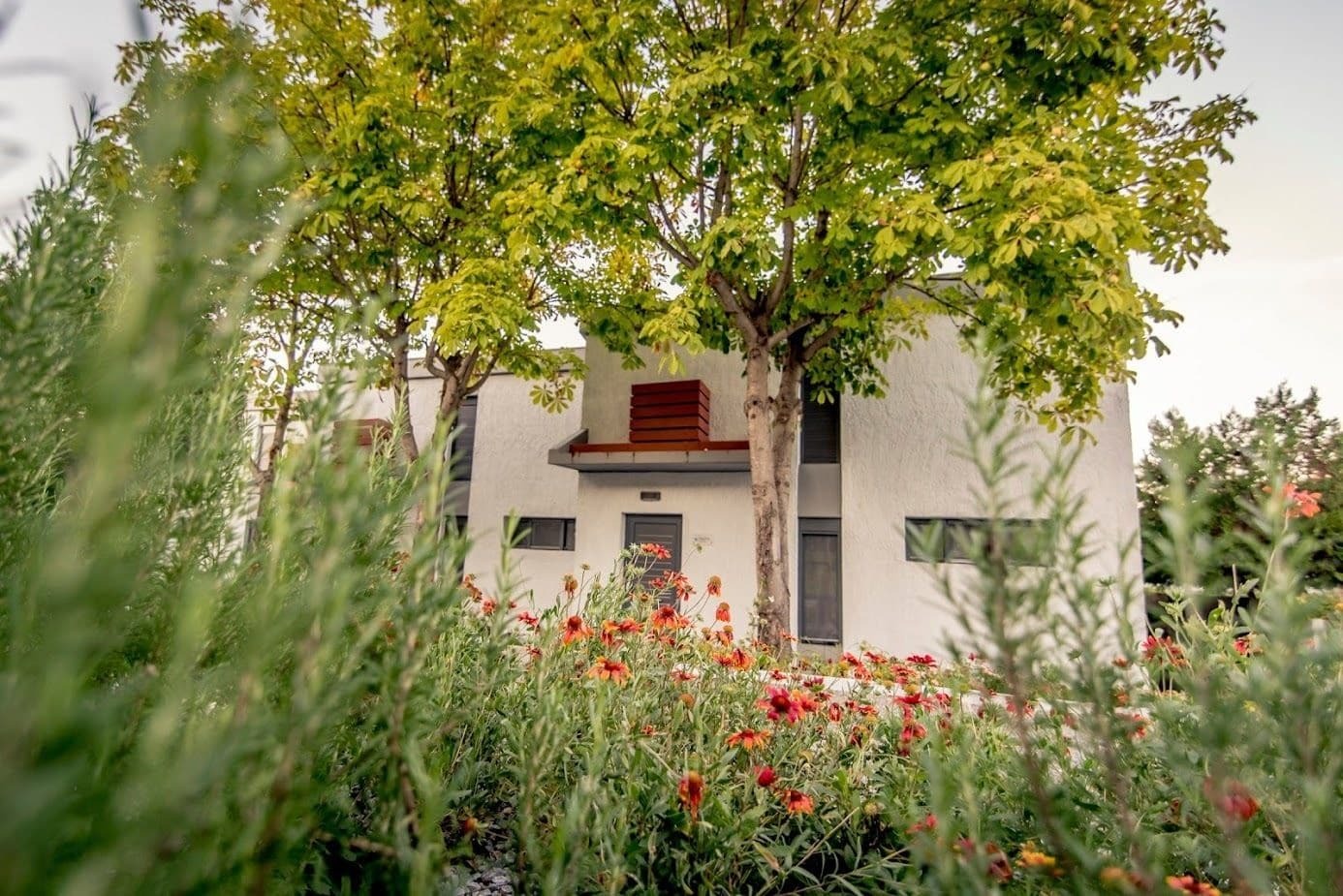 Pleiades Boutique Villas Kriopigi Exteriér fotografie